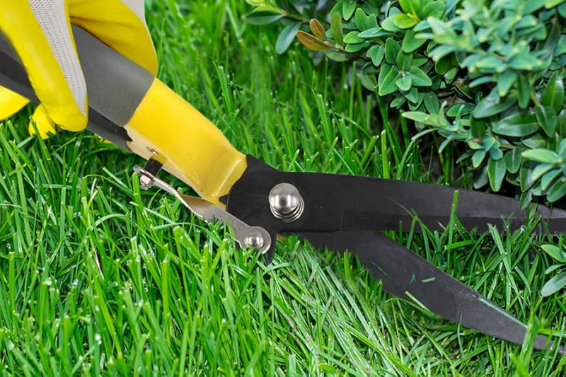 wholesale lawn shears3