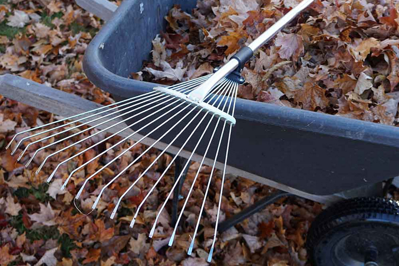 How To Efficiently Remove Leaves And Grass Clippings with A Garden Rake?