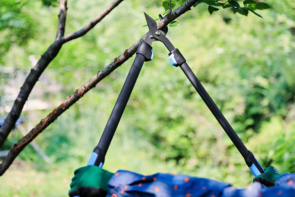 hand pruner application1