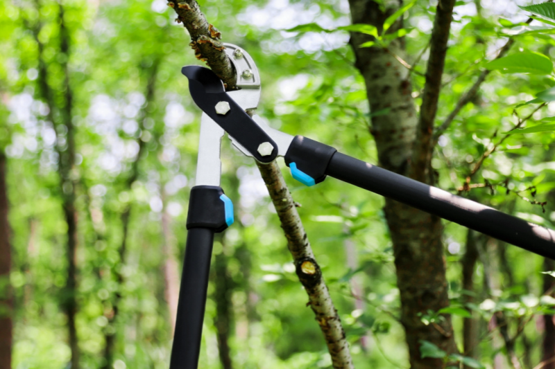 Recommended Lightweight Garden Tool Sets for Female Gardening Enthusiasts