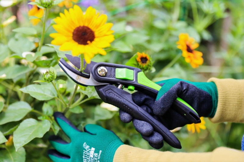 A Comprehensive Analysis of Long-Handle Hedge Pruners Vs. Short-Handle Hedge Pruners: Suitable Scenarios