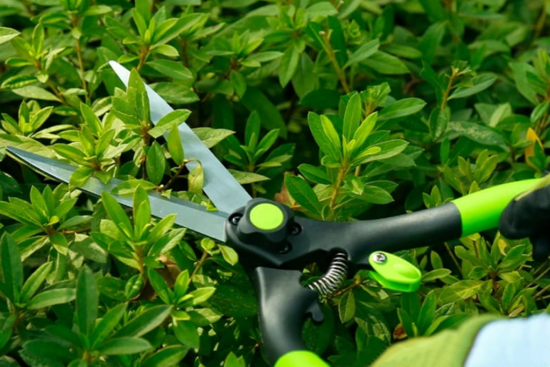 hedge shears supplier 05.png