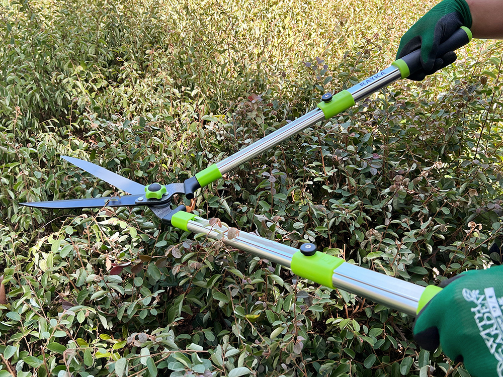 Hedge shear application1