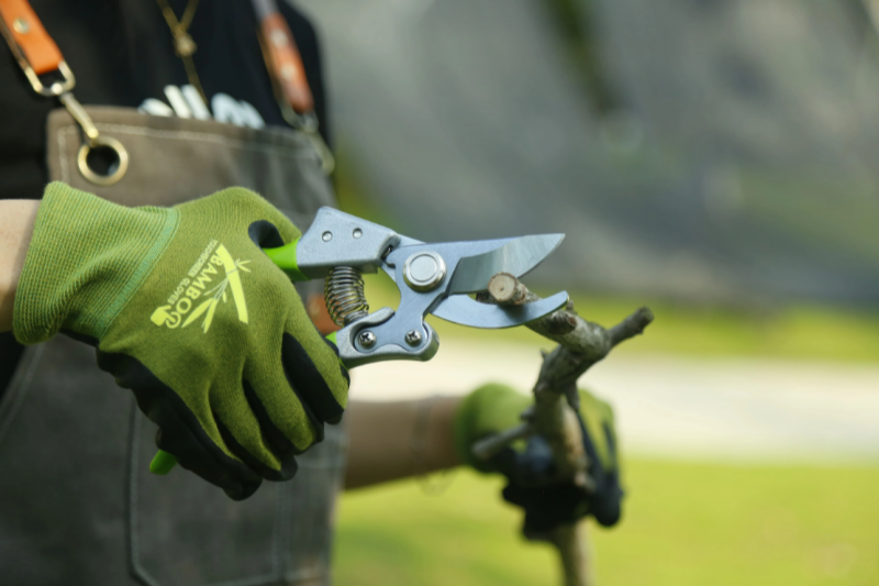 Understand The Green Manufacturing Concept of Rayka's Original Design Gardening Tools