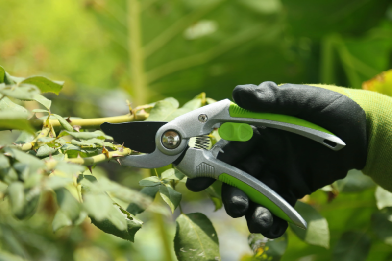Advantages of Wholesale Partnerships with Rayka Gardening Tools