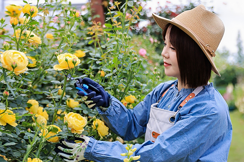 hand pruner application1