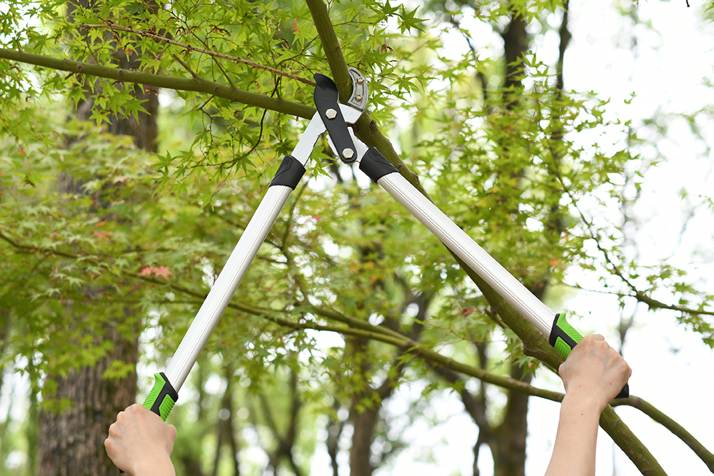 hand lopper application1