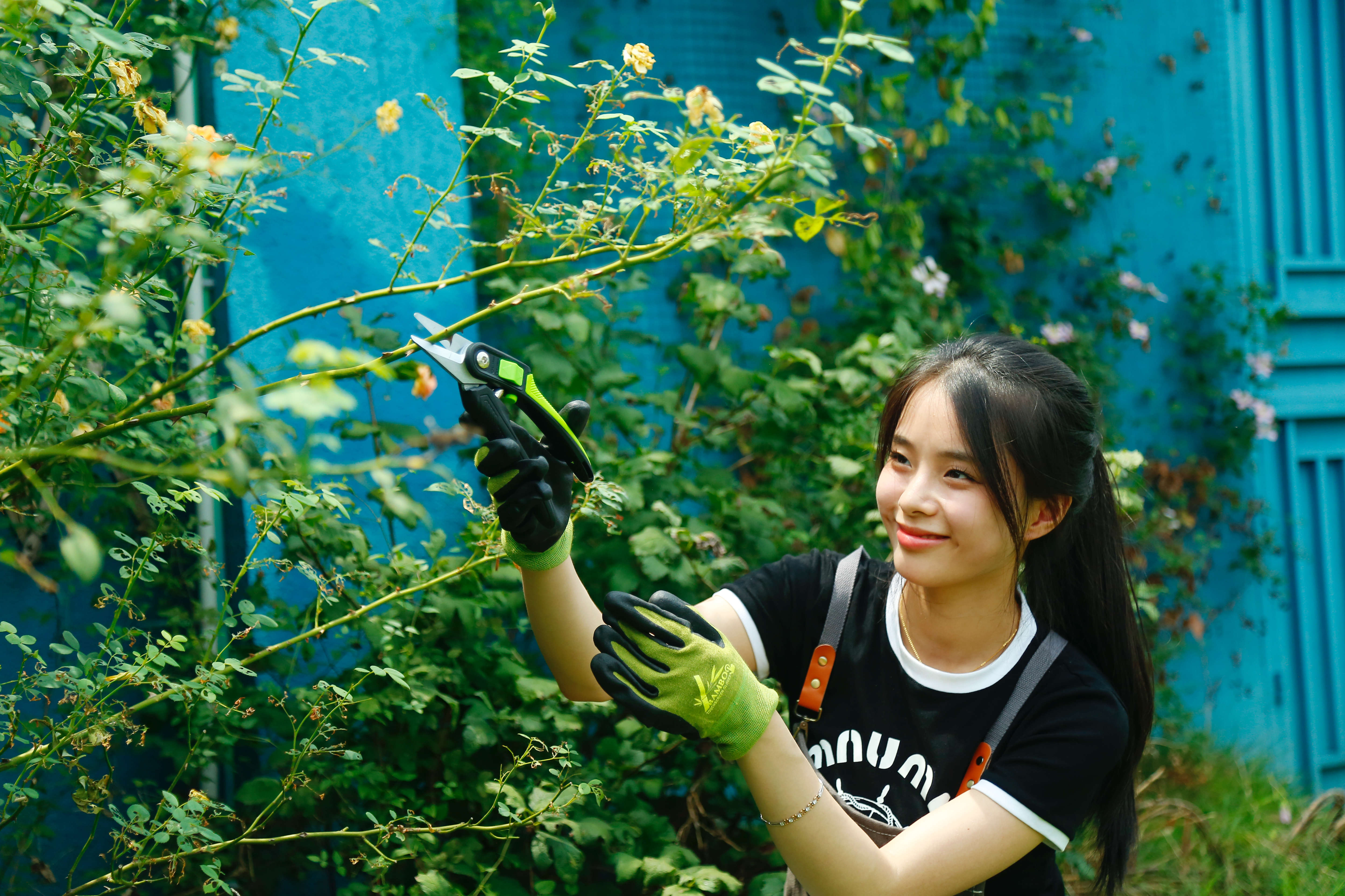 hand pruner application3