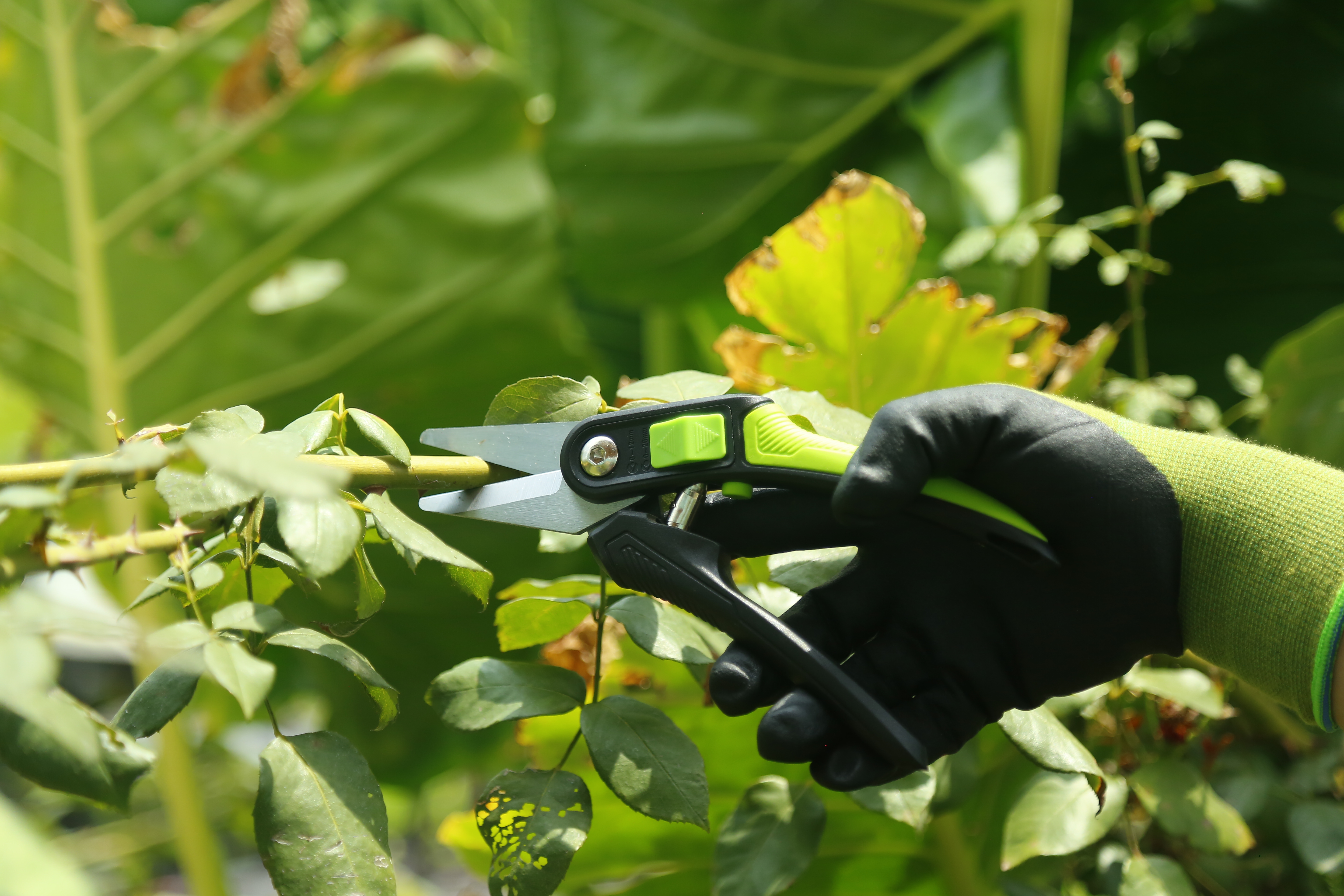 hand pruner application1