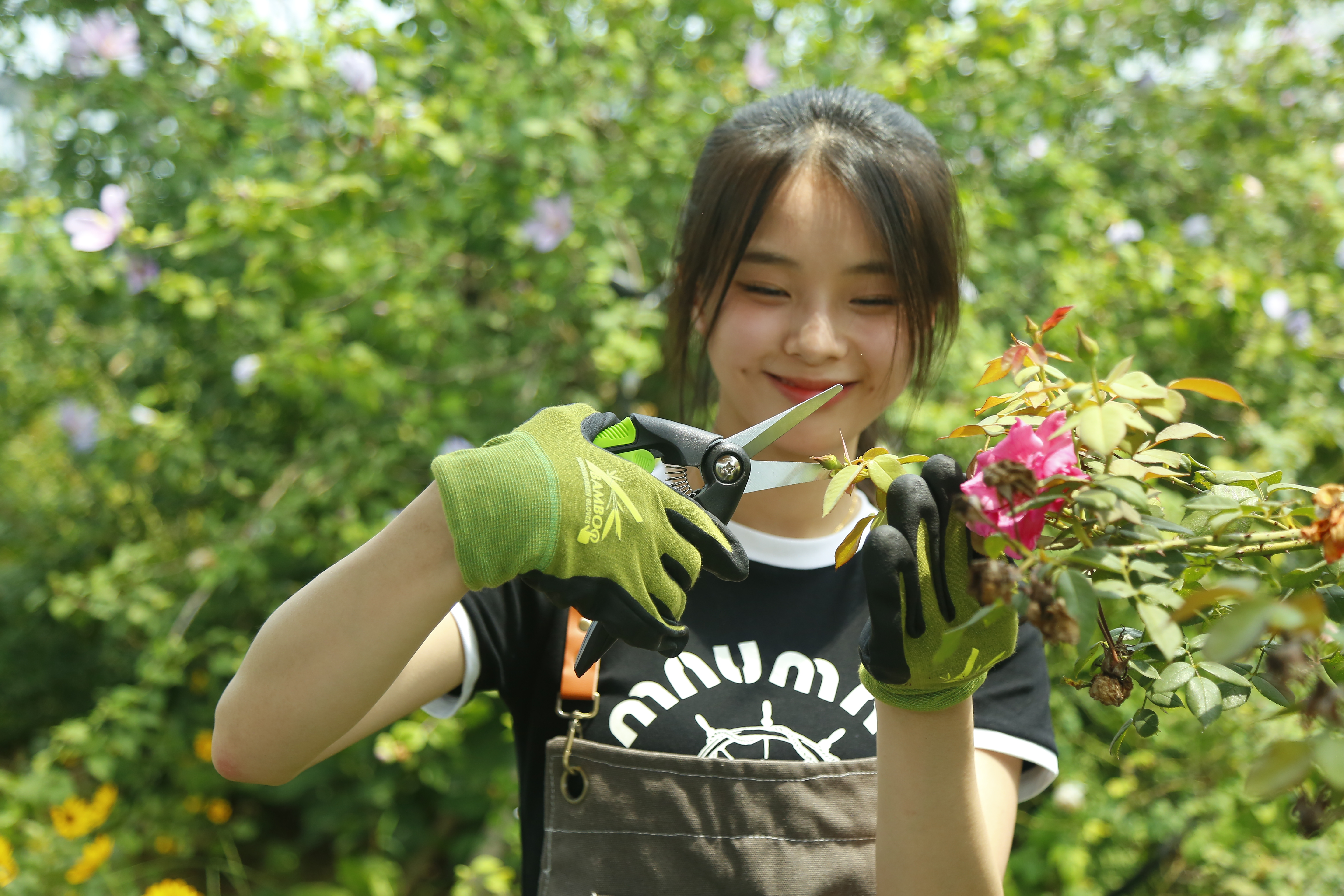 hand pruner application1