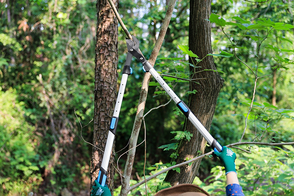 hand pruner application1