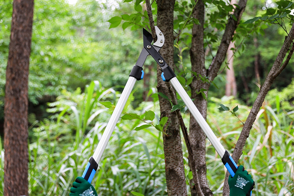 hand pruner application1