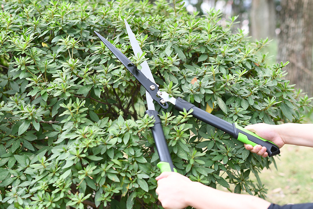 hand pruner application1