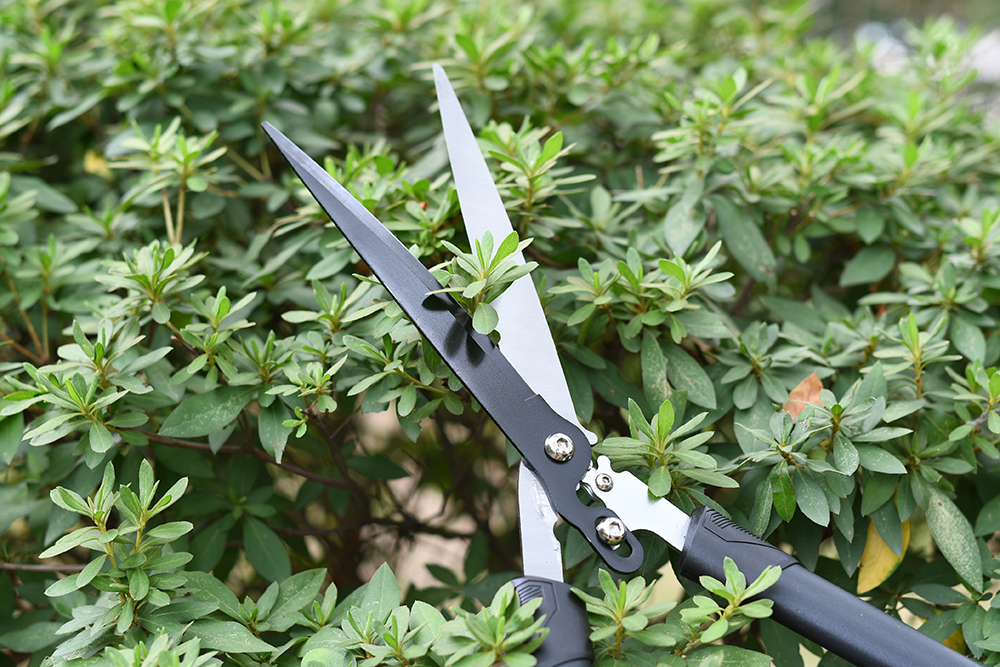 hand pruner application1