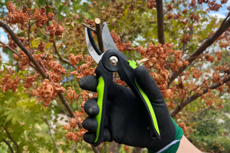 Gardening Tool Set Packaging Optimization Design Combined with Environmental Protection Concept