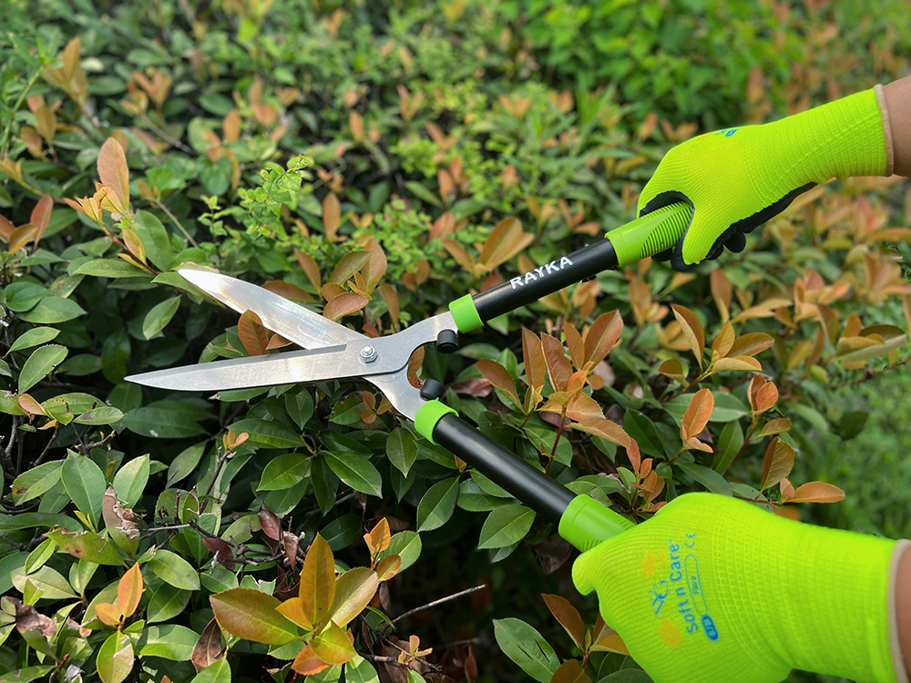 RH310101 hedge shear5