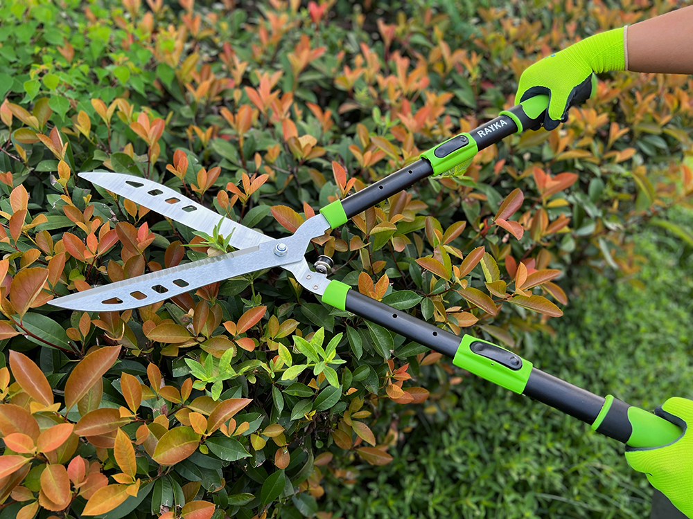 Hedge shear application1