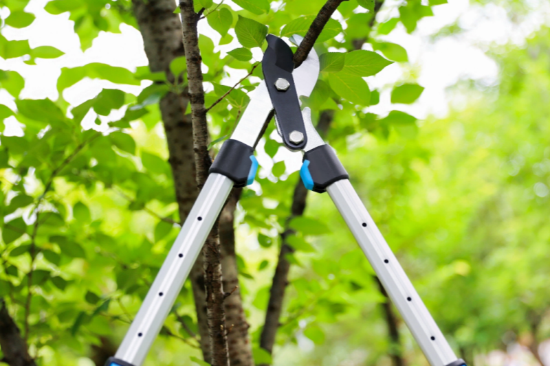 A Guide To Choosing Safe Materials And Lightweight Designs for Gardening Tool Sets
