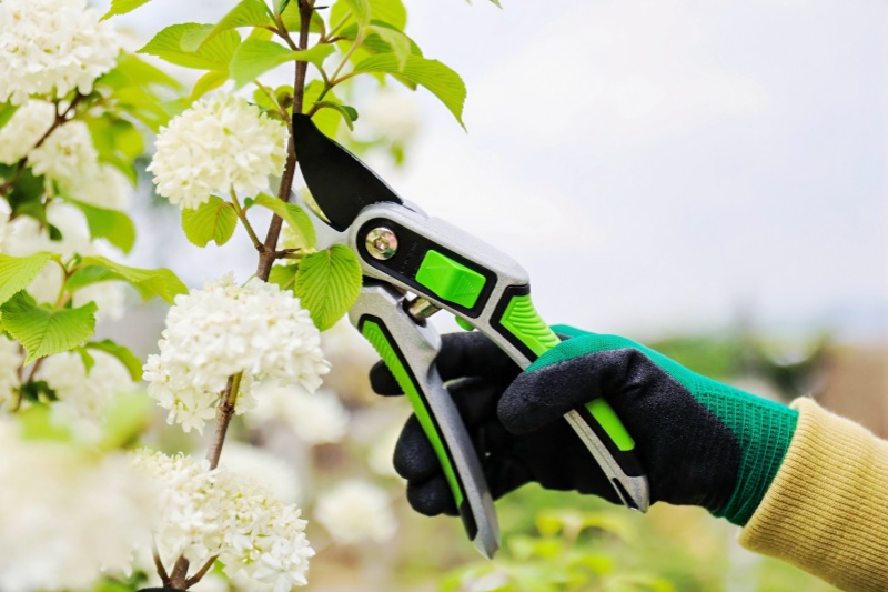An Ideal Gardening Tool Checklist for A Small Home Garden