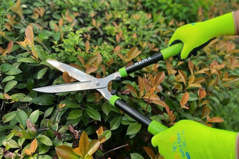 Proper Use And Safety Tips for Home Hedge Shears