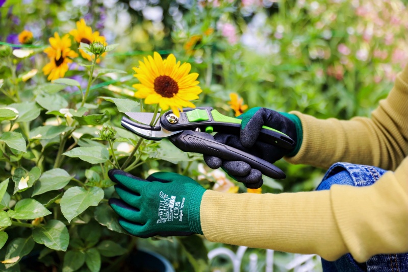 How To Recommend Suitable Pruning Shears for Gardening Beginners?