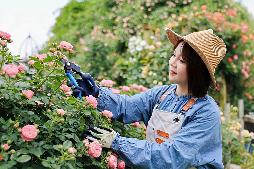 hand pruner application1