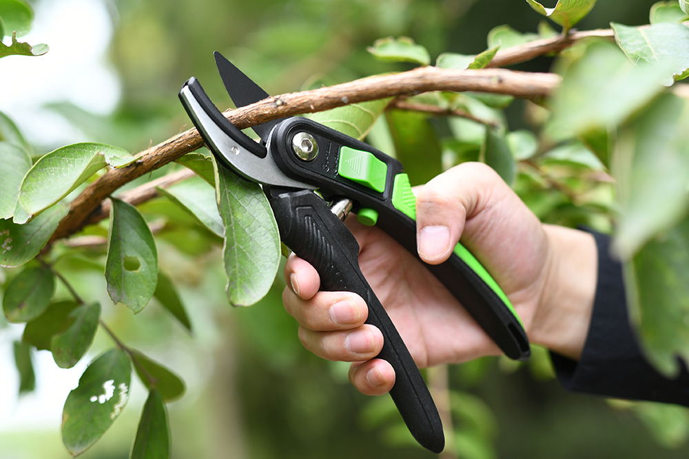 hand pruner application1